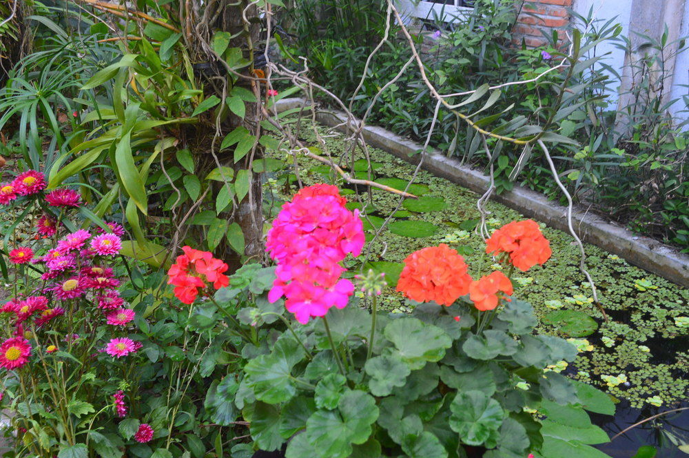 The Hoi An Orchid Garden Villas ภายนอก รูปภาพ