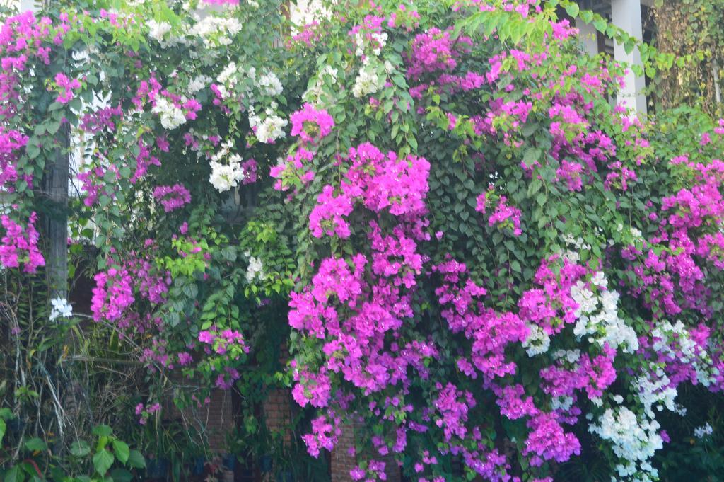 The Hoi An Orchid Garden Villas ภายนอก รูปภาพ