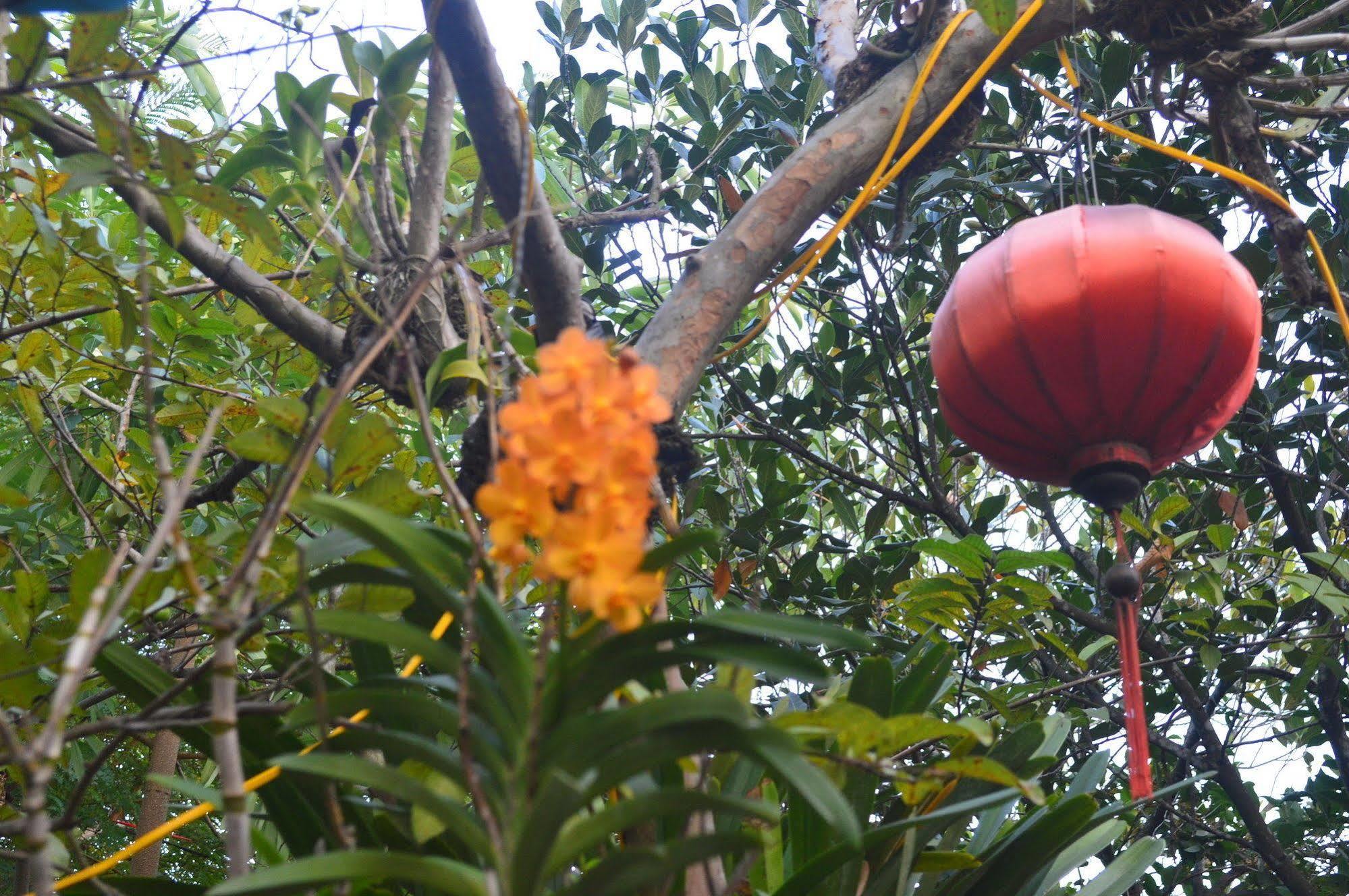 The Hoi An Orchid Garden Villas ภายนอก รูปภาพ